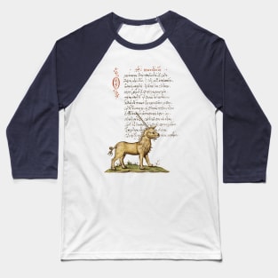 The Unicorn - Ancient Greek Manuscript Baseball T-Shirt